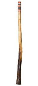 Heartland Didgeridoo (HD311)
